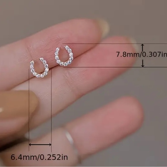 Elegant Silver Horseshoe Crystal Earrings - Picture 3 of 3